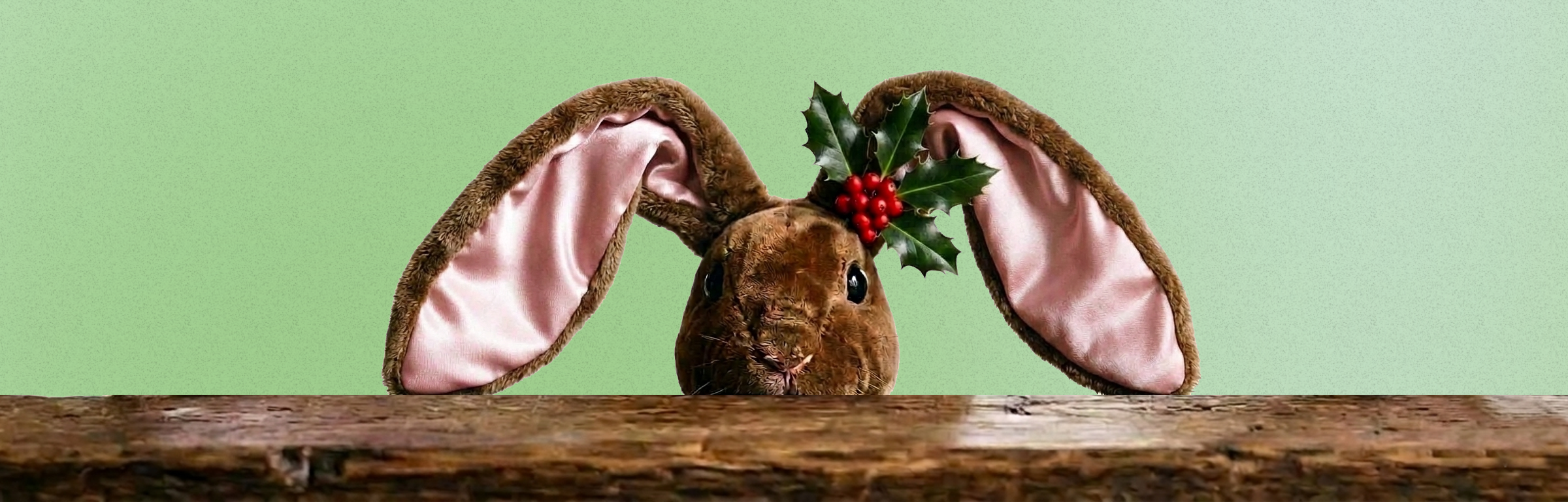 The Velveteen Rabbit